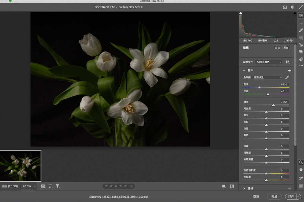Blossom in a Millimeter image