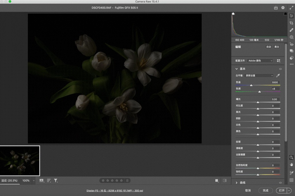 Blossom in a Millimeter image