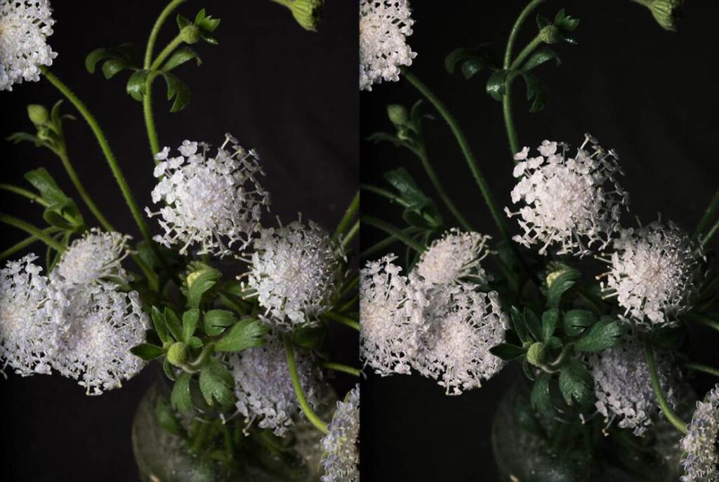 Blossom in a Millimeter image