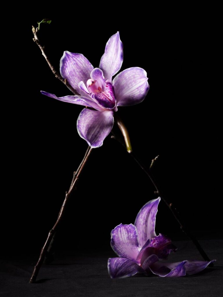 Blossom in a Millimeter image