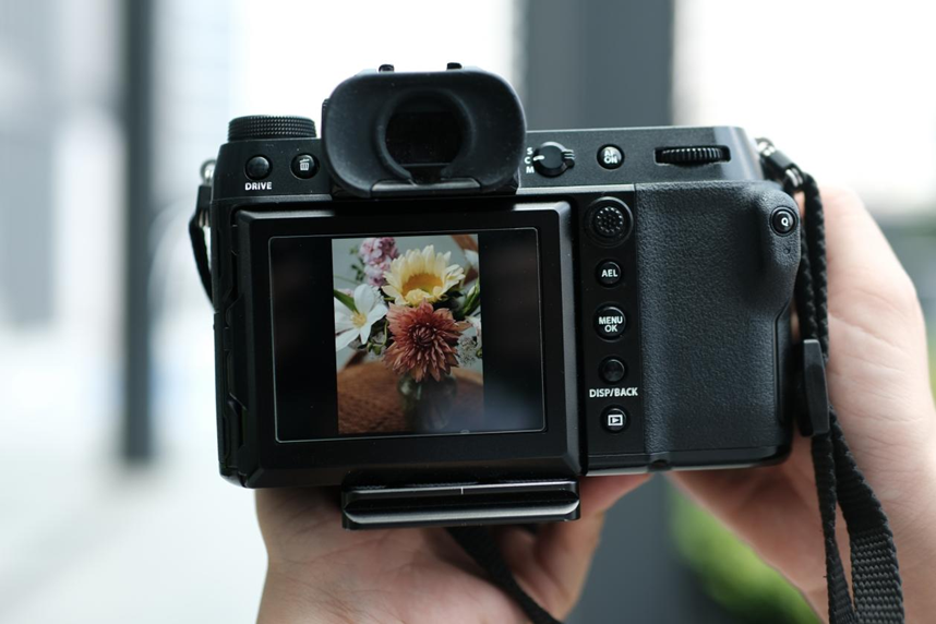 Blossom in a Millimeter image