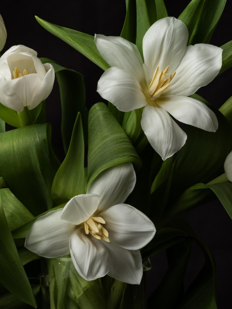 Blossom in a Millimeter image